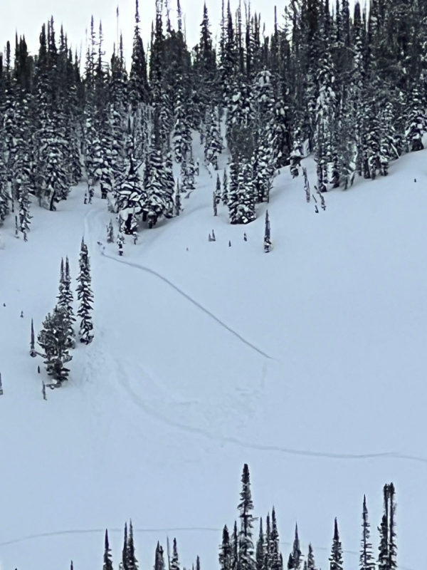 This avalanche was triggered by motorized users in Pole Creek, probably on January 14th. It likely failed on a persistent weak layer buried in the first week of January. 9200', N.