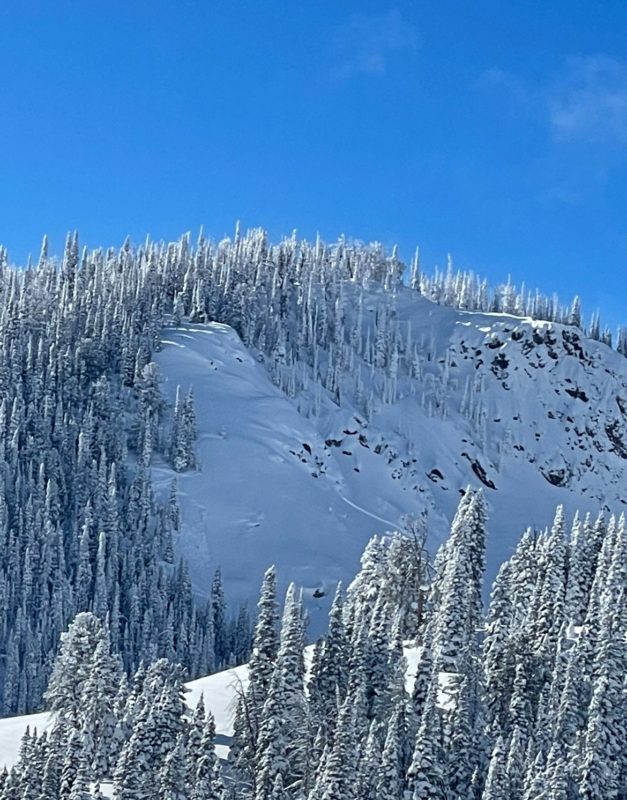 This thin avalanche appears to have been triggered by a skier. Based on the depth, it's that it released on a weak snow layer beneath recent snowfall. NE aspect at 9,100'. Photo: K. Ellwanger