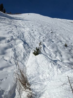 Jan 24, 2023: Debris from a wind slab avalanche in the foothills of the Pioneer mountains. This avalanche started at 7,800' on a ESE aspect. It ran roughly 1,000' vertical feet above and piled 6-9' of debris in this gully. Getting caught in terrain traps like this can have consequences, even if the avalanche is relatively small. 