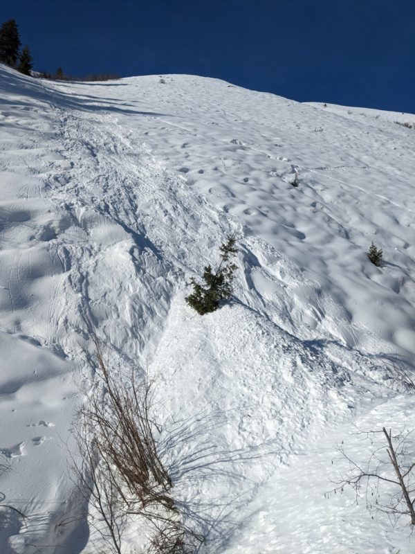 Debris from a wind slab avalanche in the foothills of the Pioneer mountains. This avalanche started at 7,800' on a ESE aspect. It ran roughly 1,000' vertical feet above and piled 6-9' of debris in this gully. Getting caught in terrain traps like this can have consequences, even if the avalanche is relatively small. 