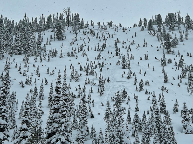 This avalanche was triggered by a snowmobiler in upper Stanley Lake Cr. at the very northern end of the Sawtooths. The rider managed to get off the slab and was not caught. The slide likely released on a persistent weak layer that buried in early January. 8000', NE.