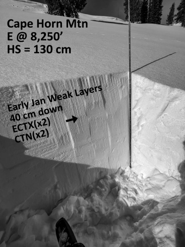 (1/5) presented as 1-2 mm FC (ECTXs, CTNs). The overlying slab graded from F at the surface to 1F at the base. The snowpack below this layer was very strong (P). This pit was not dug to the ground. 
