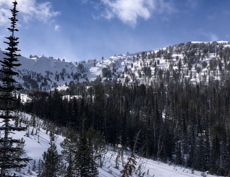 This avalanche was triggered near Titus Pk by a group of skiers on a low-angle ridge line. It released below them on a wind-loaded E and SE facing slope at about 9,800'. 