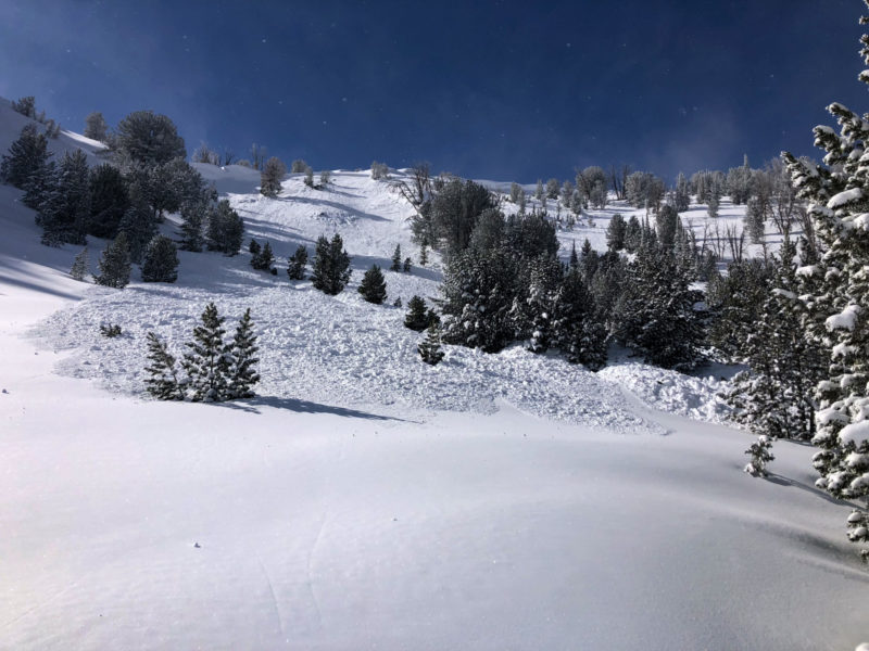 This avalanche was triggered near Titus Pk by a group of skiers on a low-angle ridge line. It released below them on a wind-loaded E and SE facing slope at about 9,800'. 
