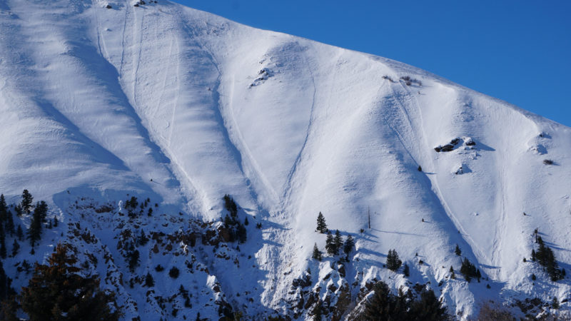 Several small loose snow avalanches naturally released on Della Mtn during a NW wind event. 
