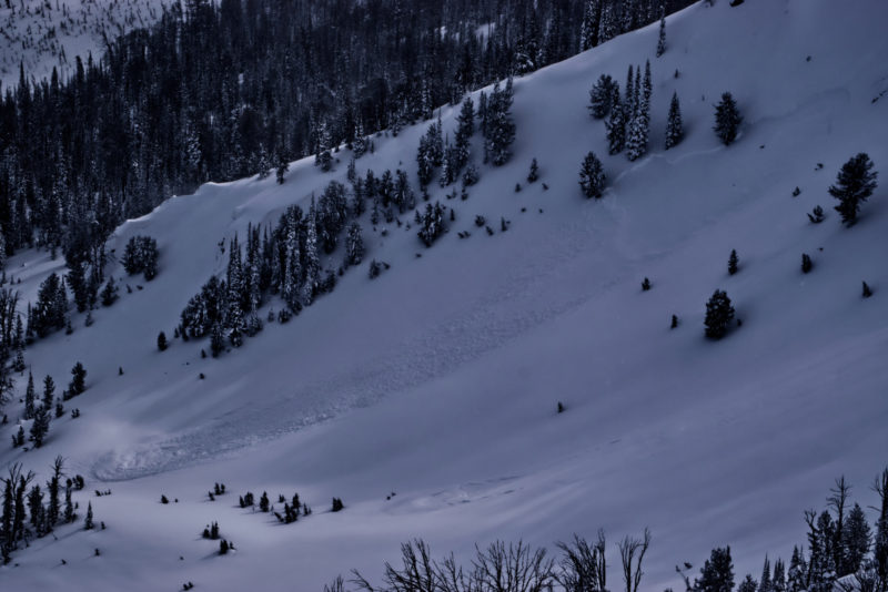 (2/28/23) This avalanche released along Titus Ridge on a NE aspect near 9400'. 