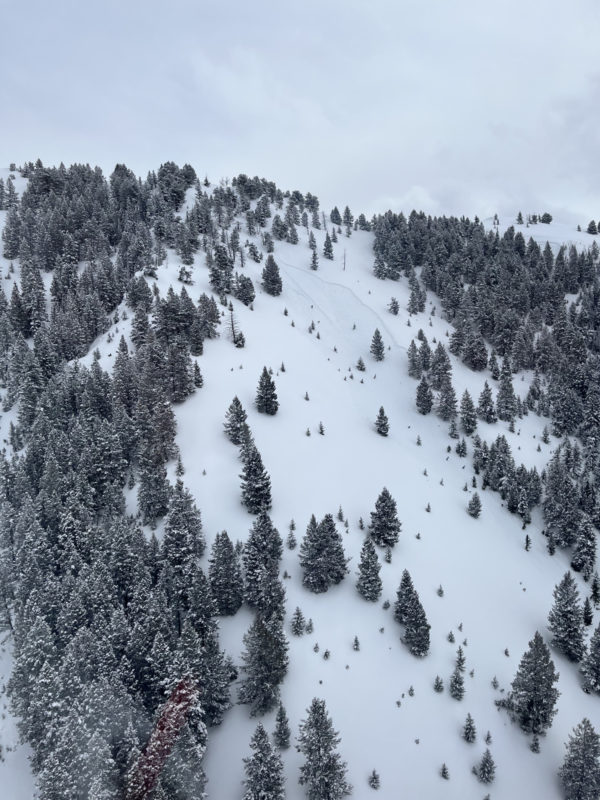 These two persistent slab avalanches were remotely triggered by skiers in the Lake Creek drainage (NW 8500').