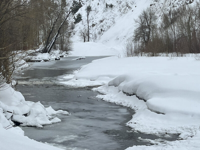 This very large avalanche crossed the Big Wood River W of Hailey partially damming the river and temporarily flooding War Eagle Rd with up to a foot of water. Debris piles are an estimated 15-30' deep.