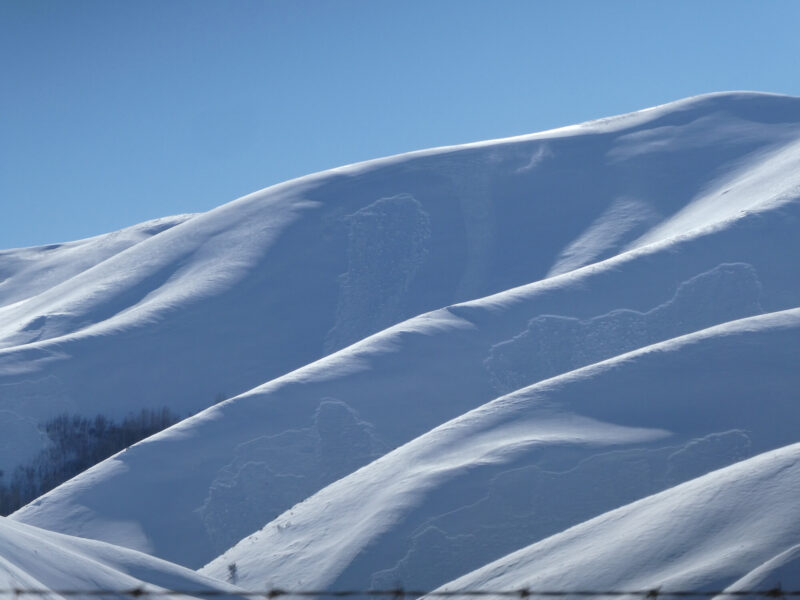 Widespread natural avalanches in Colorado Gulch W of Hailey. E aspects between 6,400'-5,400'.