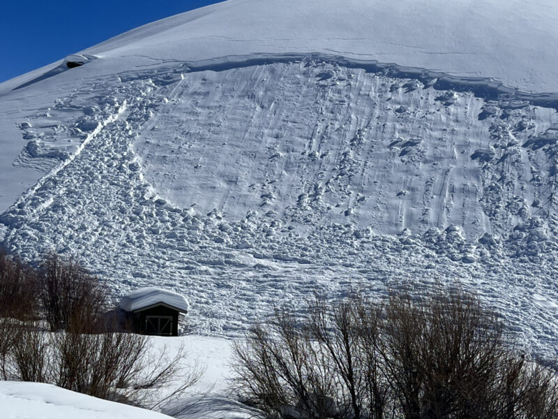 Widespread natural avalanches in Croesus Gulch W of Hailey. Activity in this area was focused on NW-N-NE-E aspects between 6,900'-5,800'. This small slide struck a shed.