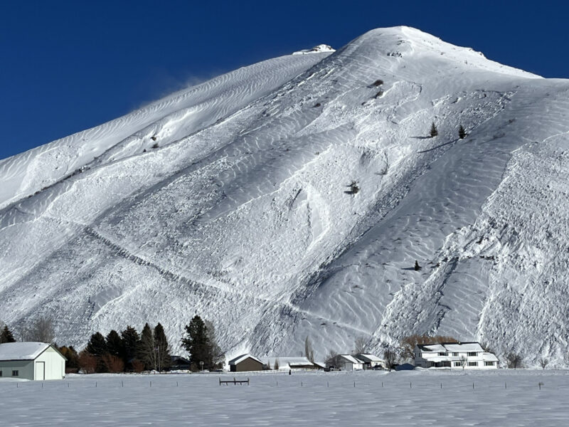 Widespread natural avalanches above Bayhorse Rd at the mouth of Muldoon canyon, Bellevue. Avalanche activity in this location was focused on NW-N-NE-E aspects between 7,200'-5,800'.