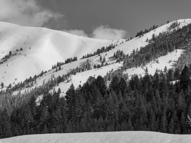 Several very large avalanches on Morgan Ridge near Trail Creek. NW and N aspects 7,700'-8,500'.