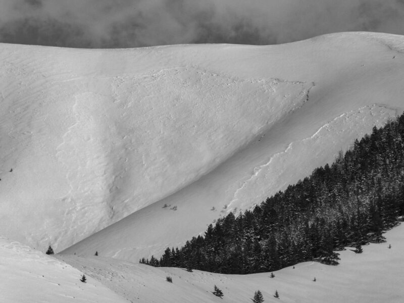 Several very large avalanches on Morgan Ridge near Trail Creek. NW and N aspects 7,700'-8,500'.