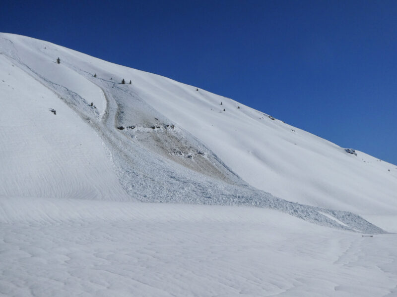 These likely wet slab avalanches released at 6,800' on a W aspect above Gimlet. 