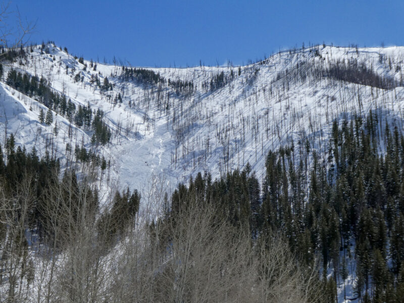 Numerous large and very large avalanches funneled into this N-NW facing drainage above Warm Springs Creek. The slides did not reach the road. 

The mix of crowns spanned elevations between 6,500'-7,500'. Some of the lower elevation slabs likely released as a result of warm temperatures and rain. 