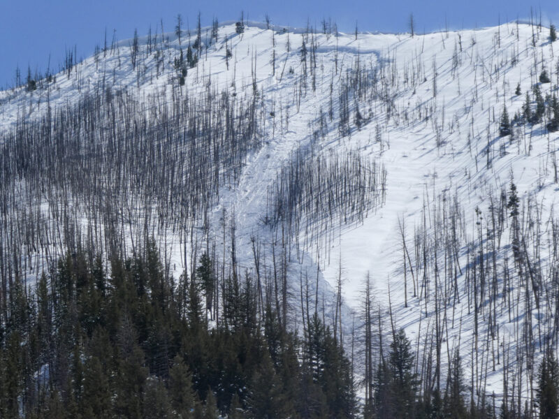 Very large avalanche above Warm Springs Rd.