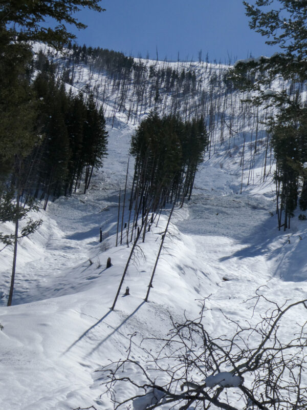 Debris of a very large avalanche just beyond the pavement on Warm Springs Rd. 