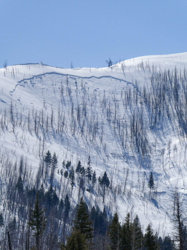 Large avalanche on a N aspect at 7,000' in Deer Ck. 