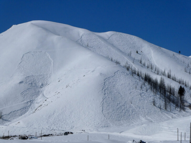 These avalanches released above the Clarendon Hot Springs in Deer Ck W of Hailey. 