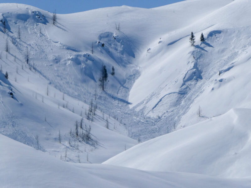 Large avalanches in Deer Ck. N aspect at 6,600'.