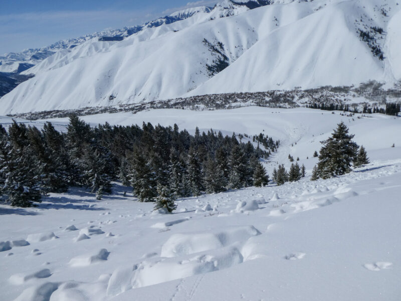Very large avalanche along Hyndman Ck. NW aspect at 7,800'. It released sometime around (3/14/23).