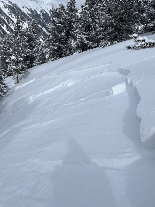 The crown of this remotely triggered avalanche is in fairly gentle terrain, but the slope below is steeper. Several recent avalanches behaved similarly, pulling into flatter terrain above steep slopes. Lake Ck drainage, NW 8500'. 