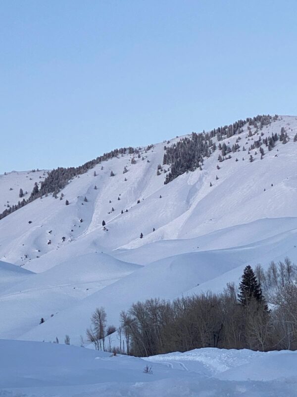 These wet avalanches released on a W aspect near Couch Summit.