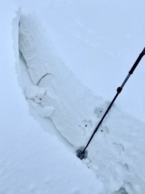 The crown of a slab avalanche that was triggered remotely by a skier. The slide released at about 5,800' on a north aspect of Della Mtn near Hailey.