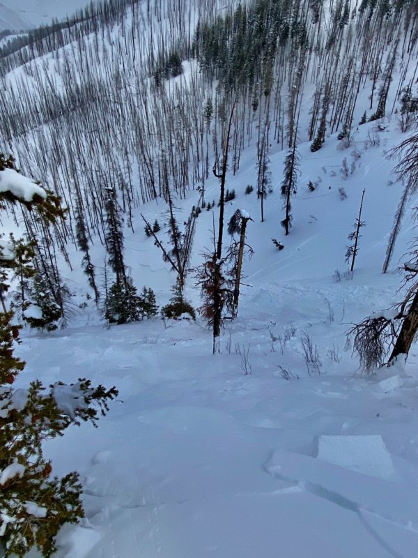 (3/7/23) A skier triggered a large avalanche in "the burn" outside the boundaries of Bald Mtn on Monday. It occurred on a NE facing slope around 7600'.