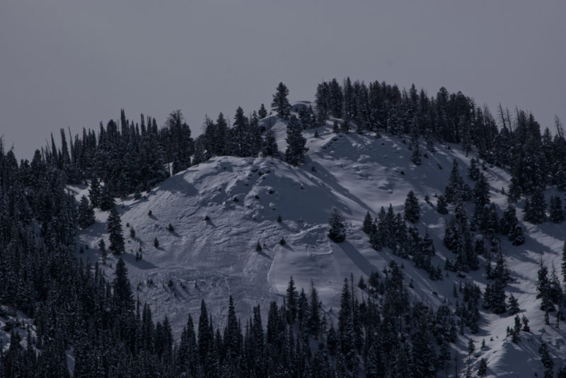 (3/5/23) This large avalanche occurred on a NE slope at 7800'. Notice the debris strains through a bunch of trees at the bottom. It is terrain traps like this one that can increase the consequences of even getting caught in a smaller avalanche.