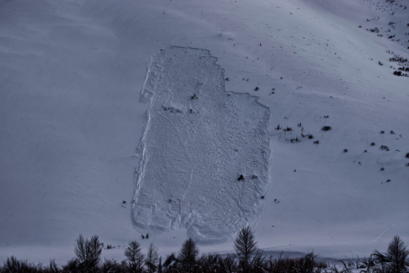 This slab avalanche was triggered remotely (from below) by a skier. The slide released at about 5,800' on a north aspect of Della Mtn near Hailey. You can make out their track in the bottom right of this photo. 