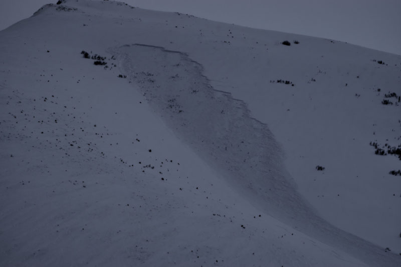 (3/5/23) Ski tracks enter the crown's upper left side and move off to the lookers left of the debris.