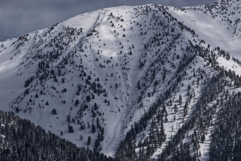 (3/11/23) A very large avalanche occurred on a west facing slope around 10,000' in Gladiator Creek. 