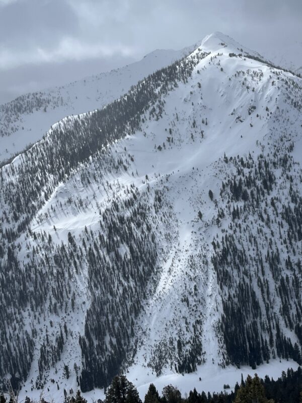 A large avalanche in the West Fork of Prairie Creek.