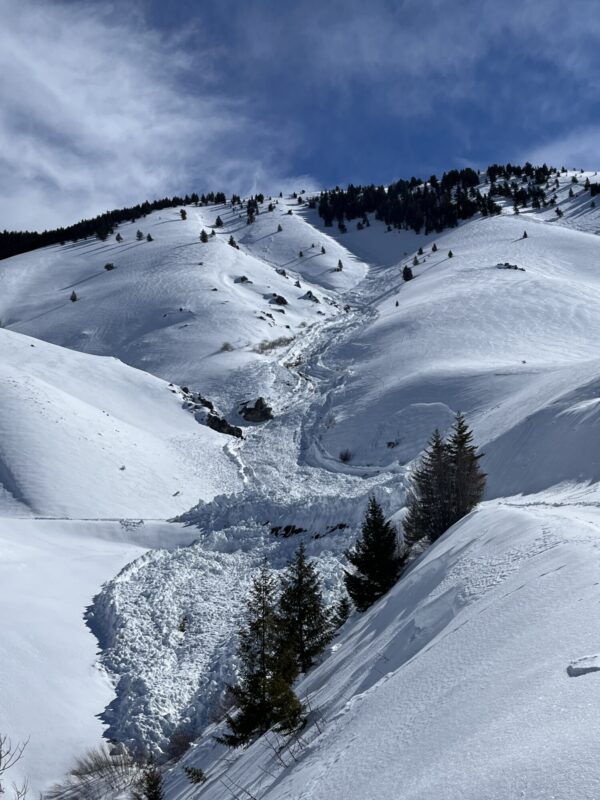 A very large avalanche crossed the Couch Summit road and buried it with over 20' of debris. 