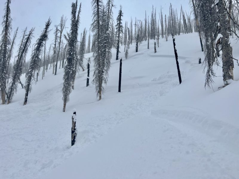 (3/6/23) A skier triggered this small slab avalanche on a N slope at 8600'. It was in an area without wind-affected snow, and they could safely ski into lower-angle terrain.