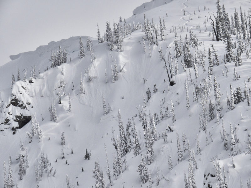 NE face of Copper Mountain, 8,700'. This photo shows a portion of the crown of an avalanche that was apparently remotely triggered by a skier from above. The crown is visible on the left side of the photo and the ski track is visible in the upper right. This avalanche occurred in subtly wind-loaded terrain.