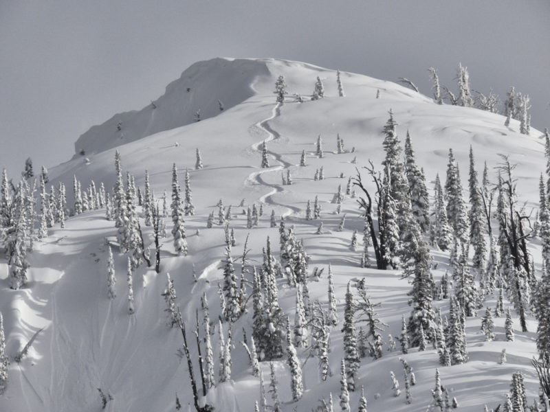NE face of Copper Mountain, 8,700'. This photo shows a portion of the crown of an avalanche that was apparently remotely triggered by a skier from above. A small portion of the crown is visible directly below the ski track. This avalanche occurred in subtly wind-loaded terrain.
