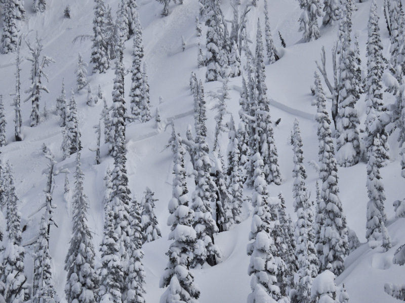NE face of Copper Mountain at 8,400'. This photo shows a portion of the crown of an avalanche that appeared to be remotely triggered by a skier from above. The avalanche was triggered in slightly more wind-affected terrain, though this crown in sheltered terrain points to the potential for encountering avalanche problems outside of areas that are obviously affected by the wind. 
