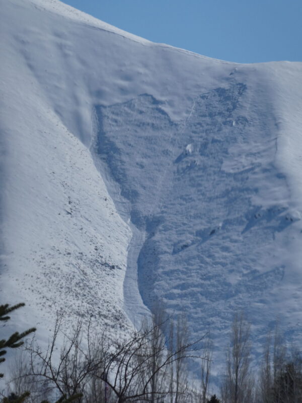 Large avalanche E of Gannett Rd.