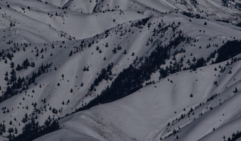(3/11/23) Many large avalanches on west facing slopes at 8500'.