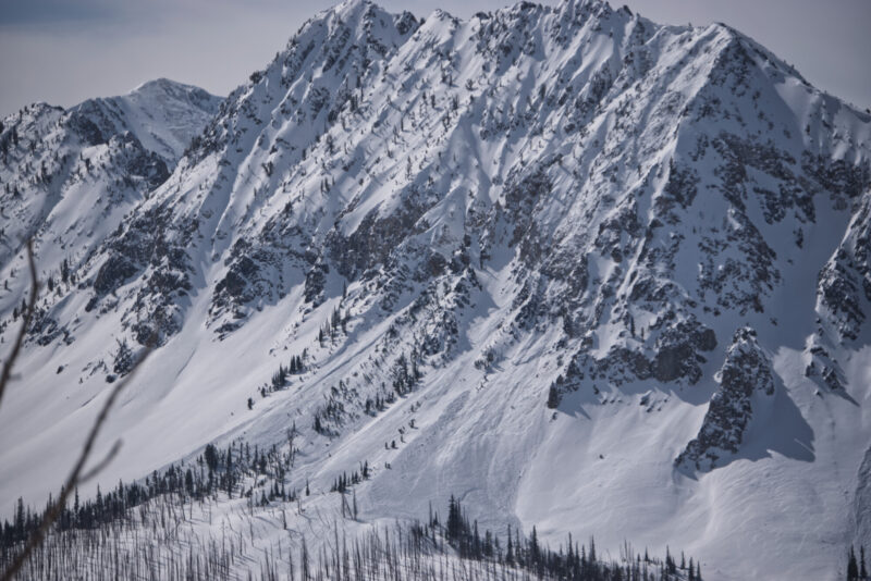 (3/18/23) Two large avalanches failing on a NE slope around 9,300' in the White Cloud mountains.