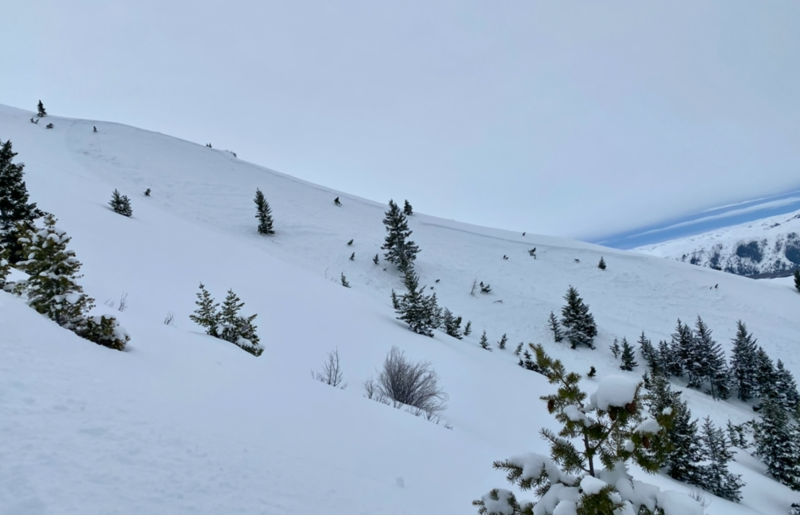 This avalanche was remotely triggered on Thursday by skiers in Indian Creek NE of Hailey. It broke on a NW-facing, wind loaded slope at 7500'.