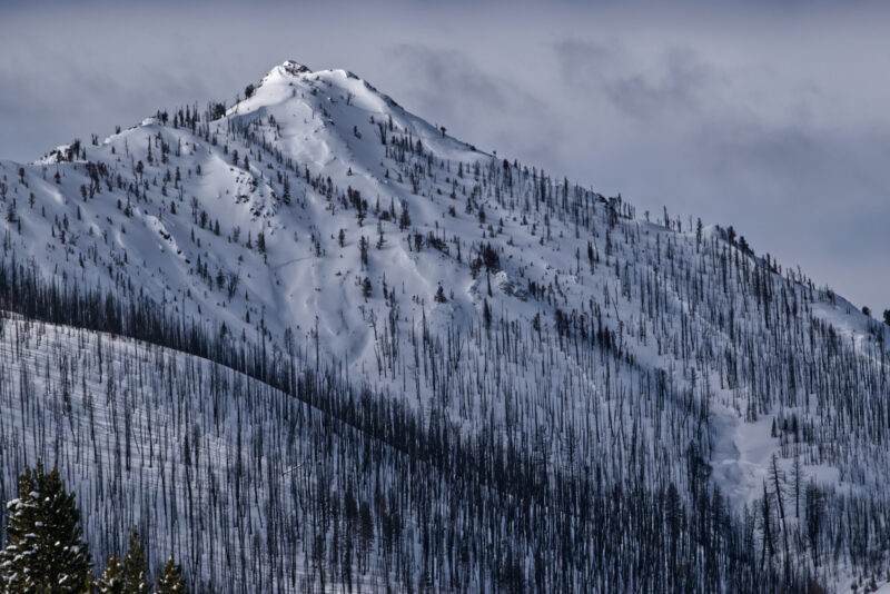 (3/12/23) Many large avalanches on N-NE slopes around 9100'.