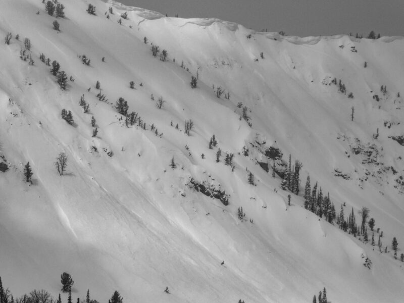 Large avalanches at the head of Apollo Ck. SE and E aspects between 9,400'-9,700'.