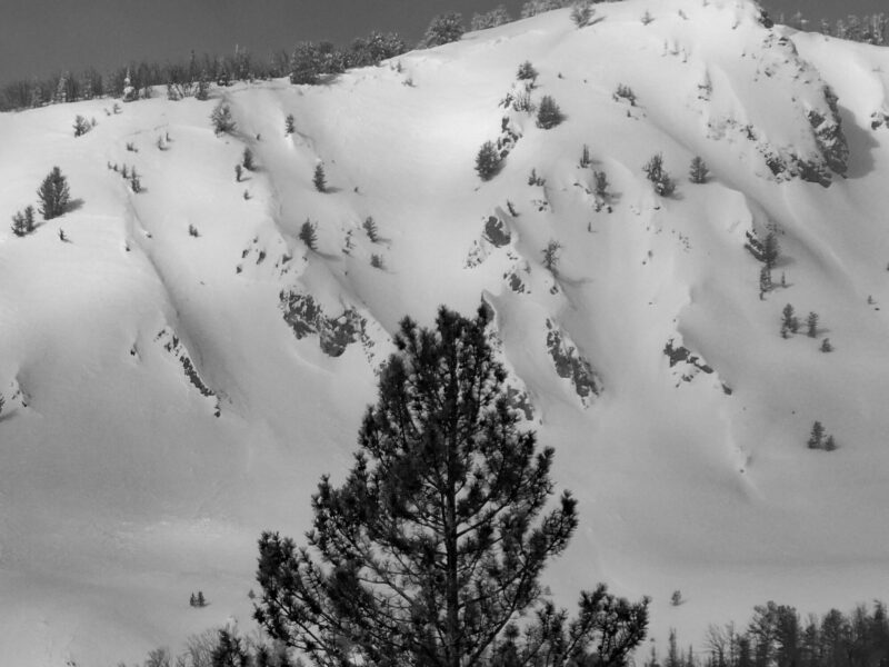 Large avalanche on a E aspect at 9,900'. "Spin the Bottle", Baker Ck. 