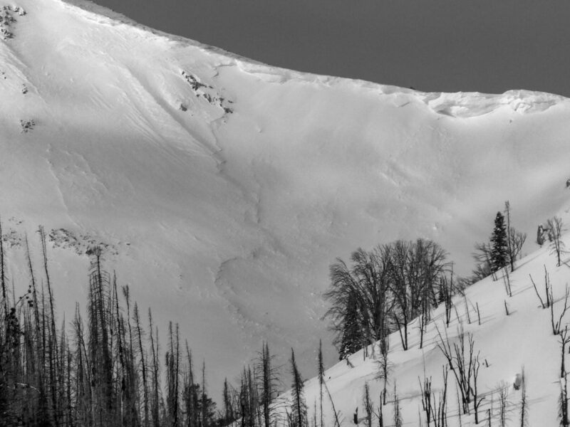 Large avalanche on the E face of Baker Ck at 9,900'. 