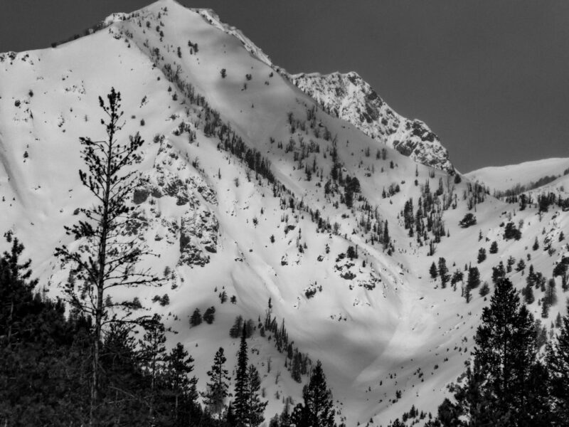 Large avalanche in Norton Ck. SE aspect at 9,700'. This slide starts as a tumbling cornice before triggering a thin slab. 