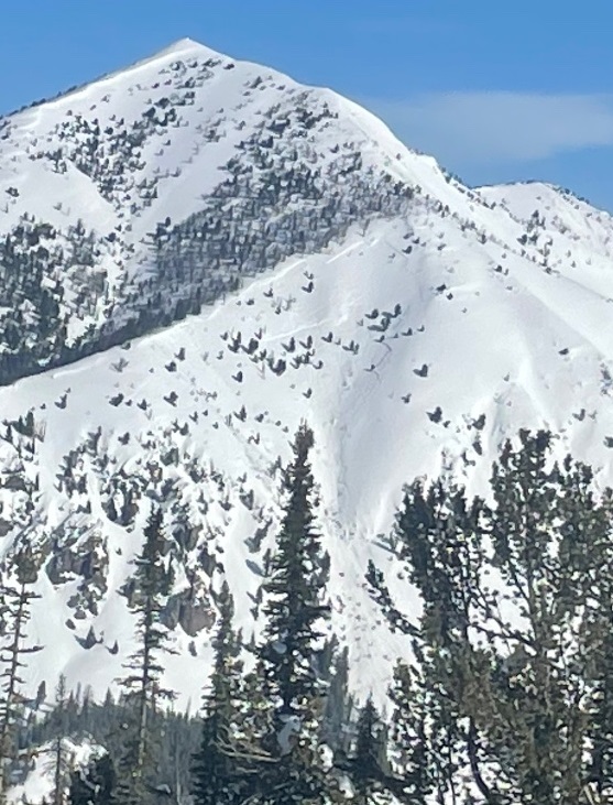 This thick, wide avalanche released naturally in the Pole Ck drainage, likely on Sunday April 9th. The hot, sunny weather likely played a role in this slide. 