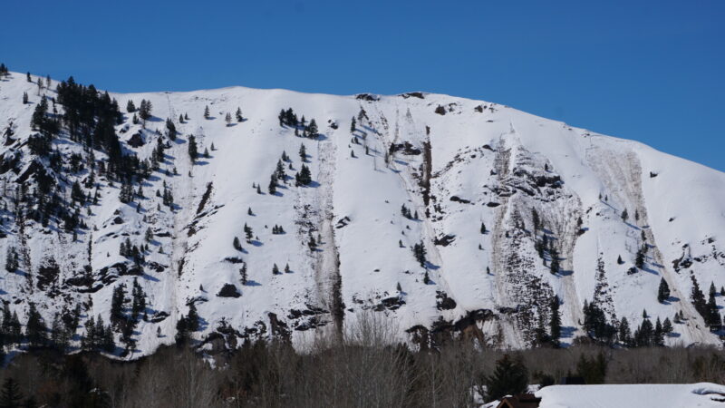 Natural wet avalanches on Carbonate Mtn, 6200' NE.